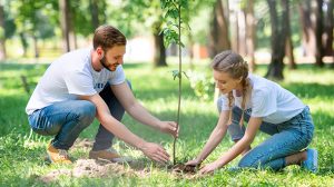 how does planting trees help the environment