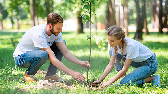 how does planting trees help the environment