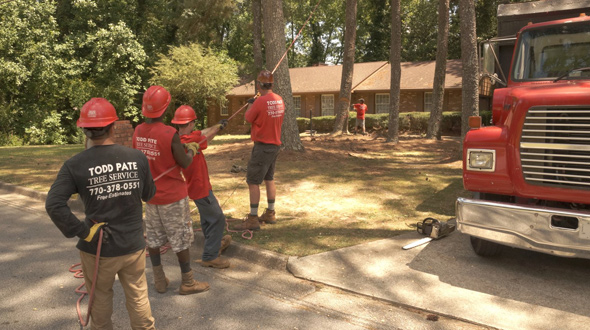 a tree service company and crew from Marietta, GA